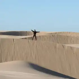 feedback-by-Scott T.